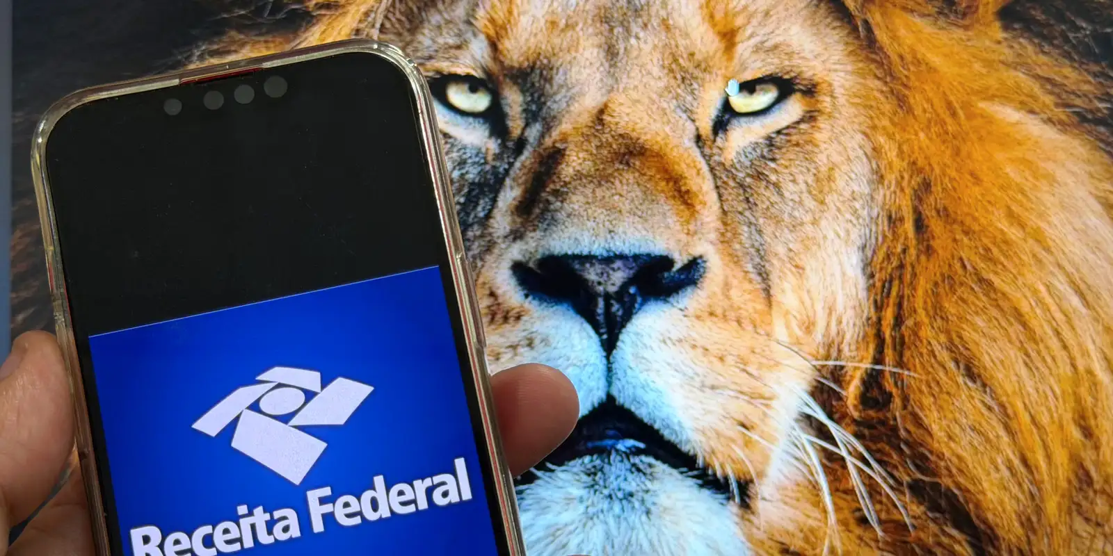 whatsapp image 2026 03 16 at 16.06.34