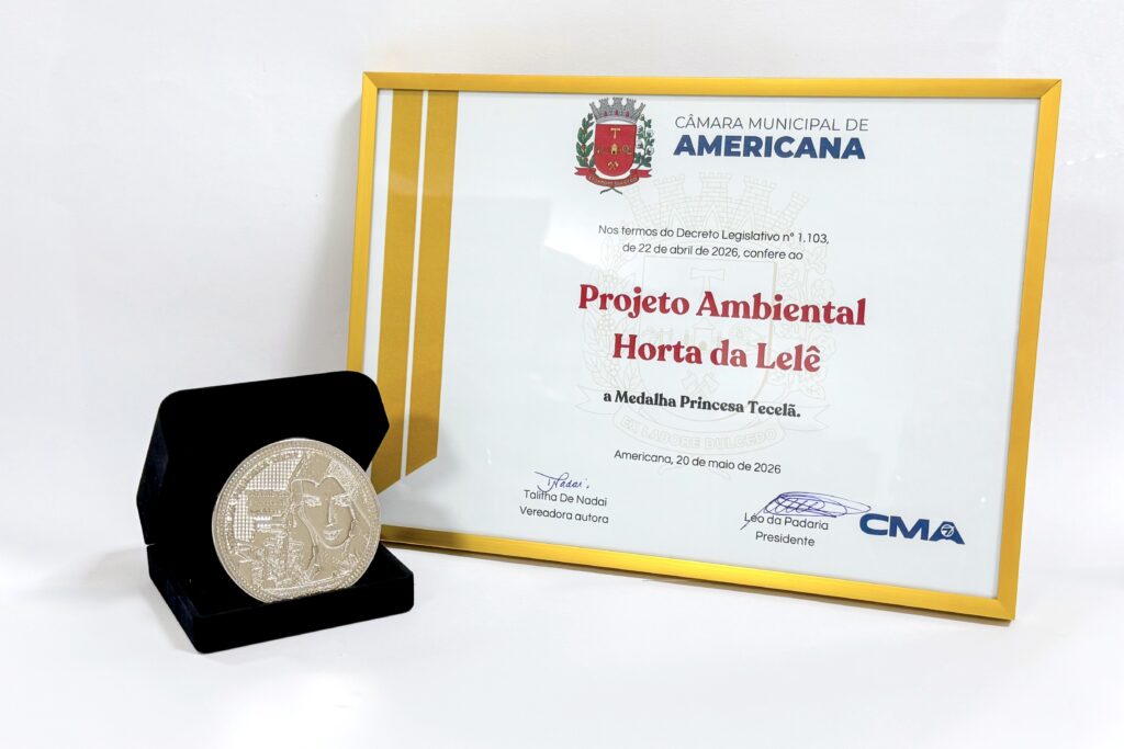 Câmara entrega medalhas Princesa Tecelã em sessão solene nesta quarta-feira (20) 5 260519 solene pre
