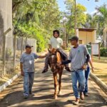 Equoterapia 15 1024x819
