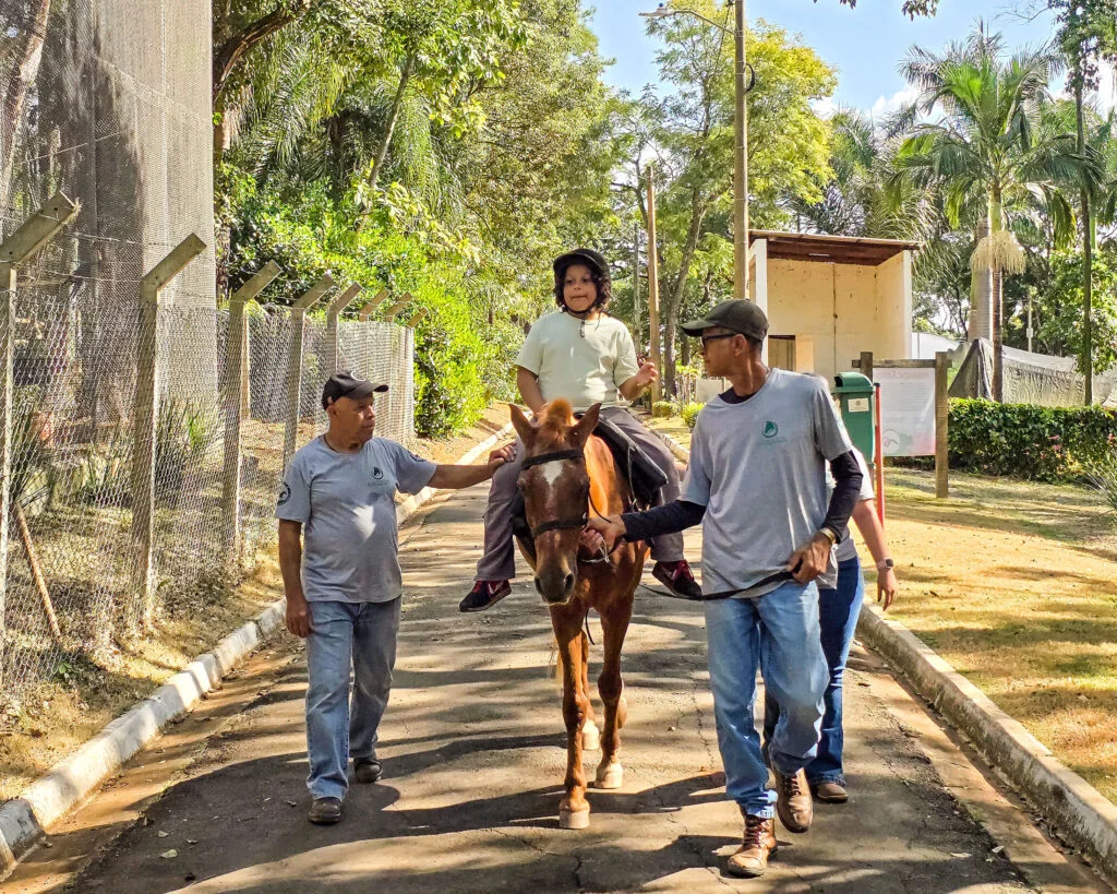 Equoterapia 15