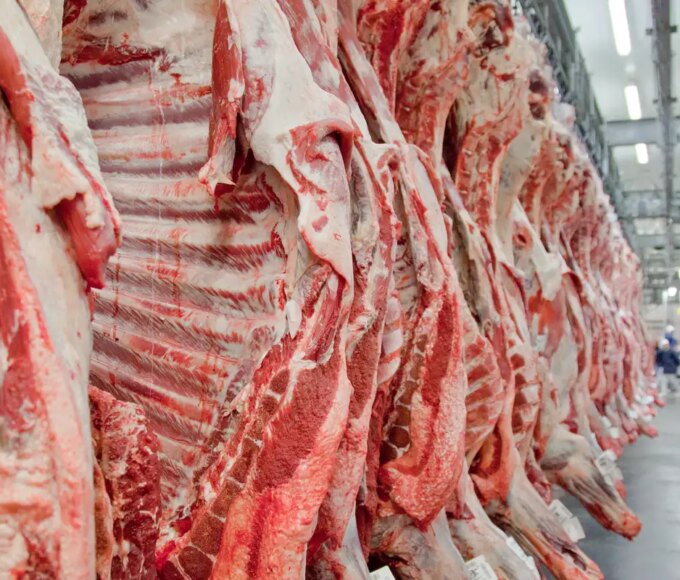 carne2
