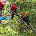 Gastos de turistas estrangeiros no Brasil sobem mais de 9% 11 img 3712.jpg