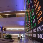 primeira previa da carteira do ibovespa b3 para janeiro de 2025