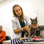 1 Ano Meu Pet 01