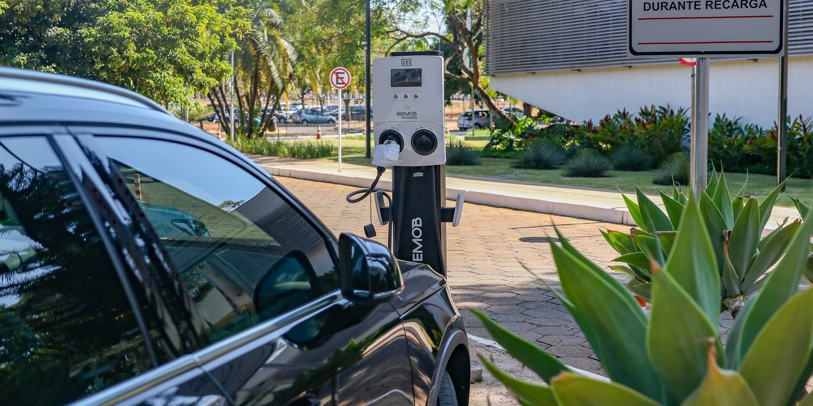 Governo mantém elevação de tarifas a carro elétrico e renova cota zero 5 124a8375 0