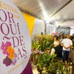 FESTIVAL DAS ORQUIDEAS 1