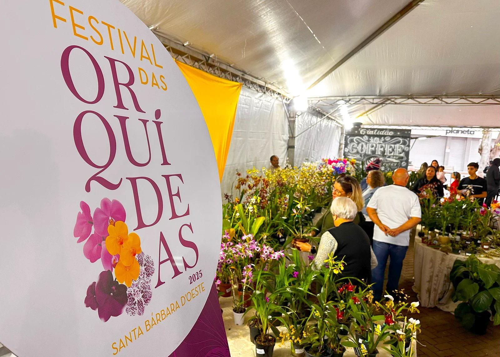 FESTIVAL DAS ORQUIDEAS 1