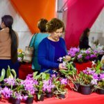 FESTIVAL DAS ORQUIDEAS 5