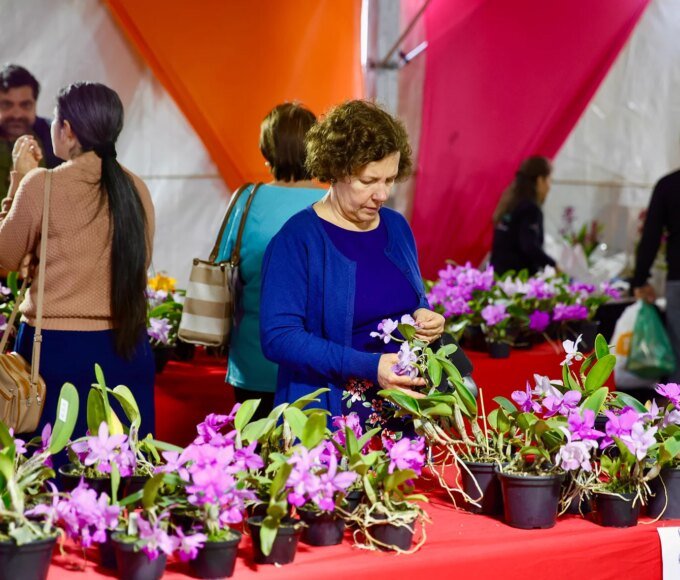 Festival das Orquídeas movimenta Praça Central e reforça turismo e economia criativa em Santa Bárbara 14 FESTIVAL DAS ORQUIDEAS 5