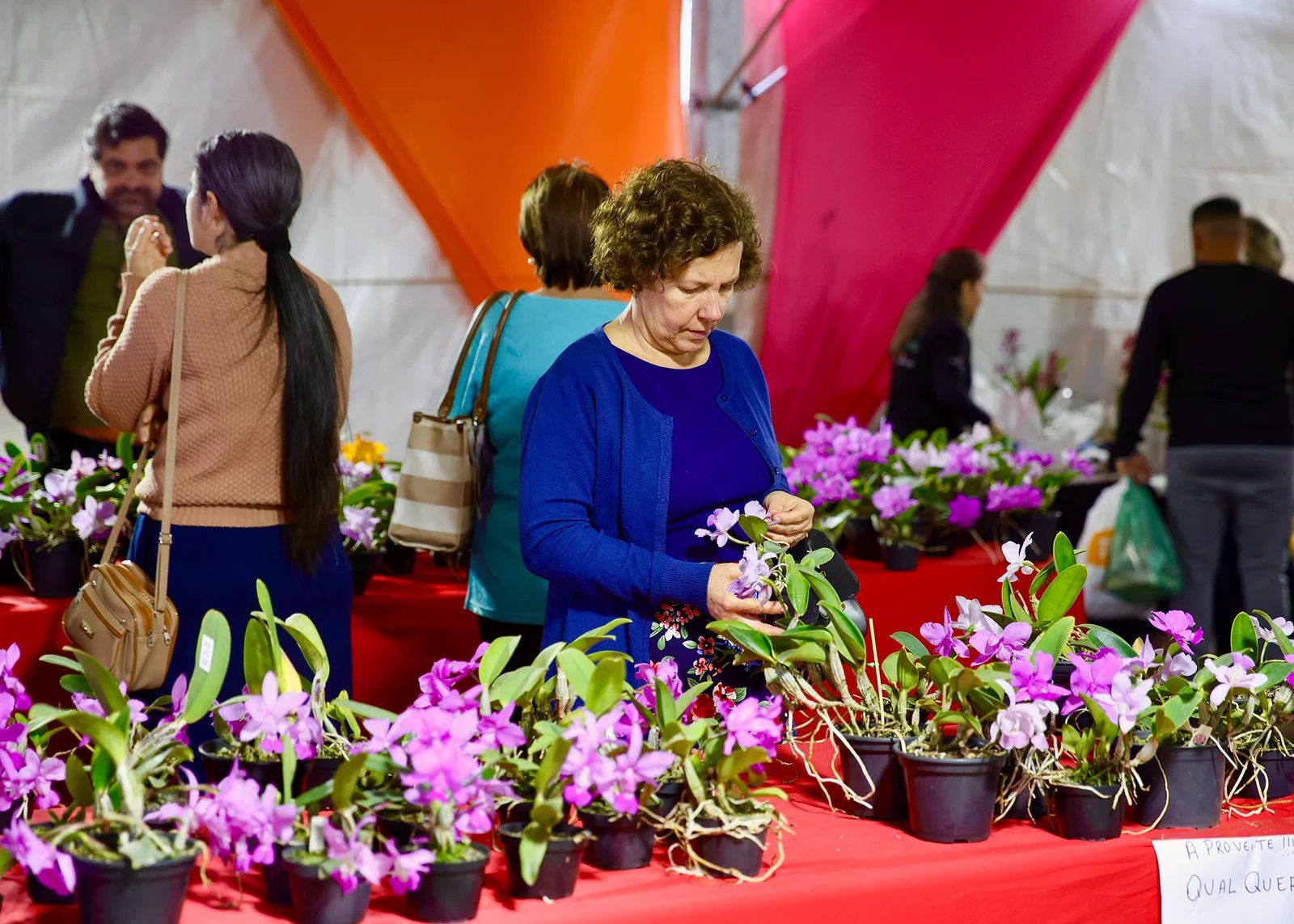 Festival das Orquídeas movimenta Praça Central e reforça turismo e economia criativa em Santa Bárbara 5 FESTIVAL DAS ORQUIDEAS 5