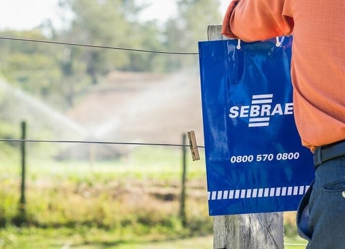 Sebrae-SP realiza ‘Arena Agro’, com palestras e painéis para pequenos produtores rurais de Piracicaba 14 Rural campo