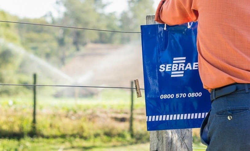 Sebrae-SP realiza ‘Arena Agro’, com palestras e painéis para pequenos produtores rurais de Piracicaba 5 Rural campo