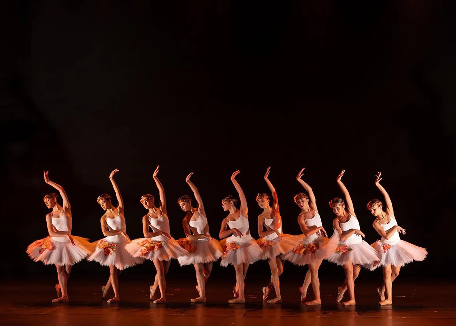 gala laboratorio da danca