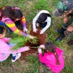 Alunos da rede municipal participam de plantio de árvores em ação ambiental promovida pela Guarda Municipal 10 plantio arvores criancas 06
