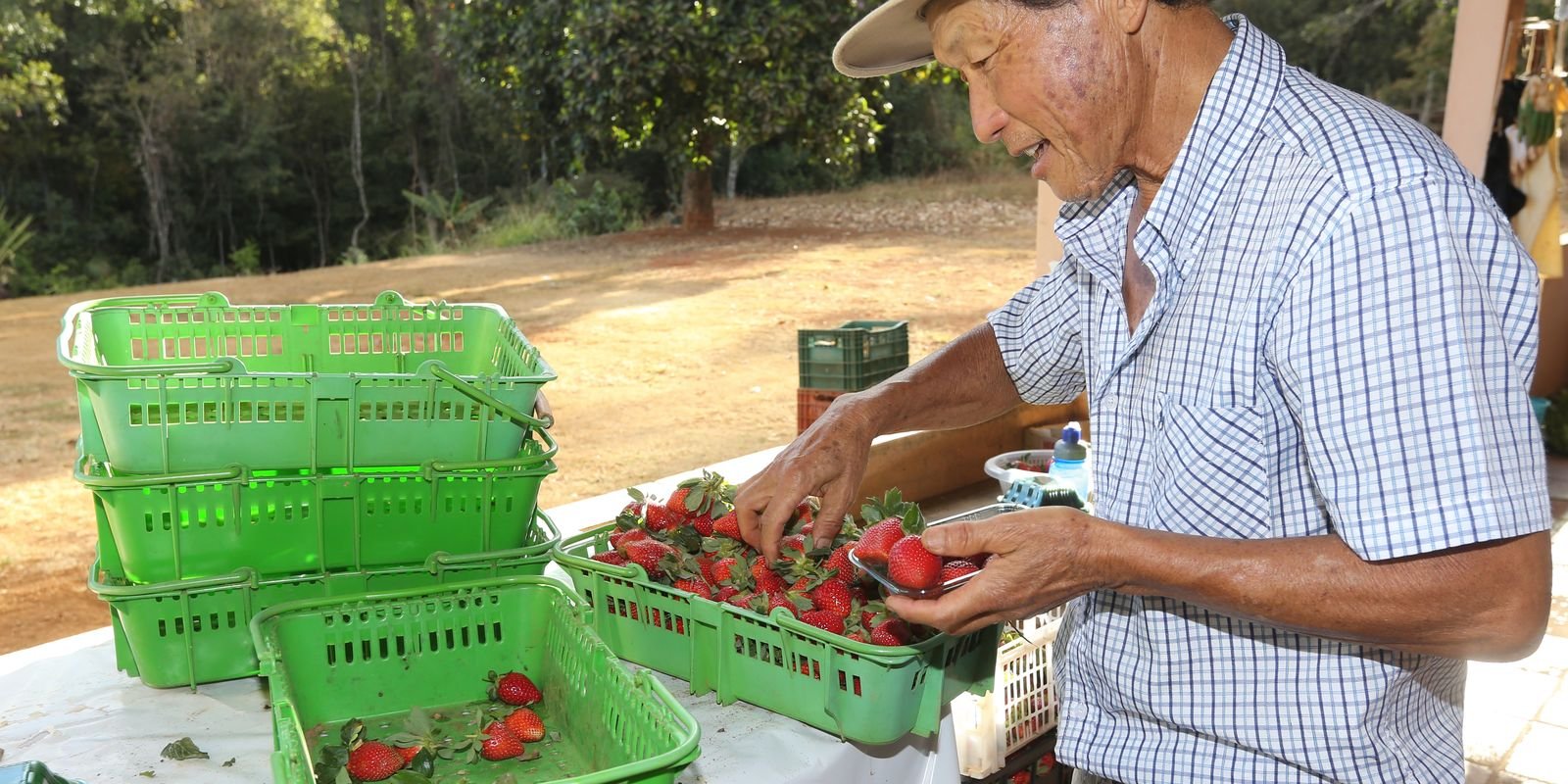 Finep vai pagar R$ 220 milhões para inovações em agricultura familiar 5 1089301 vcapto abr 2408172785 1