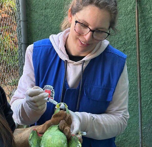 Parque Ecológico realiza manejo em tucanos e papagaios 14 55407657740 4b8d108660 c
