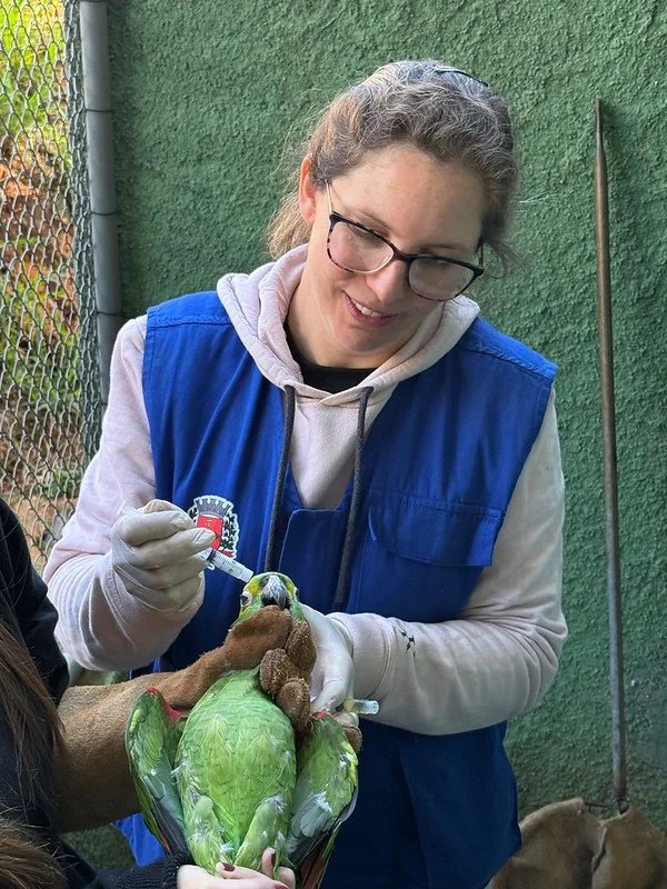 Parque Ecológico realiza manejo em tucanos e papagaios 5 55407657740 4b8d108660 c
