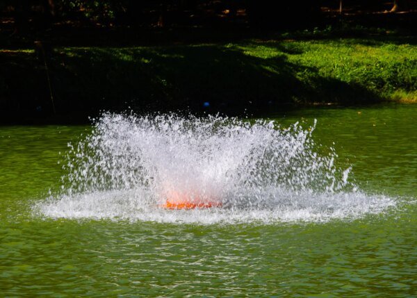 Aerador do Parque dos Ipes 2