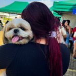 Mutirão de castração supera 600 procedimentos e reforça controle da população animal em Santa Bárbara d'Oeste 10 Castracao 1
