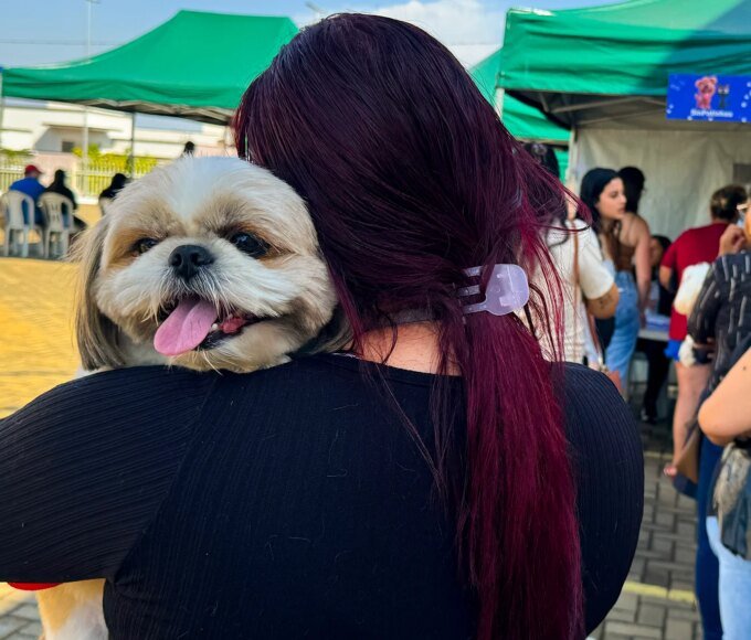 Mutirão de castração supera 600 procedimentos e reforça controle da população animal em Santa Bárbara d'Oeste 14 Castracao 1