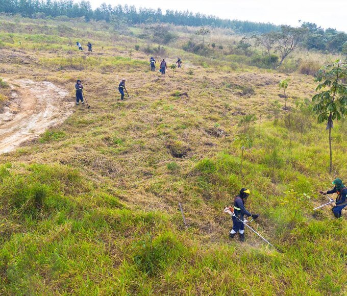 DAE intensifica recuperação ambiental na Represa Areia Branca e prepara expansão do reflorestamento em Santa Bárbara 14 DJI 0648