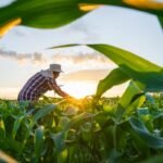 adobestock 621171608