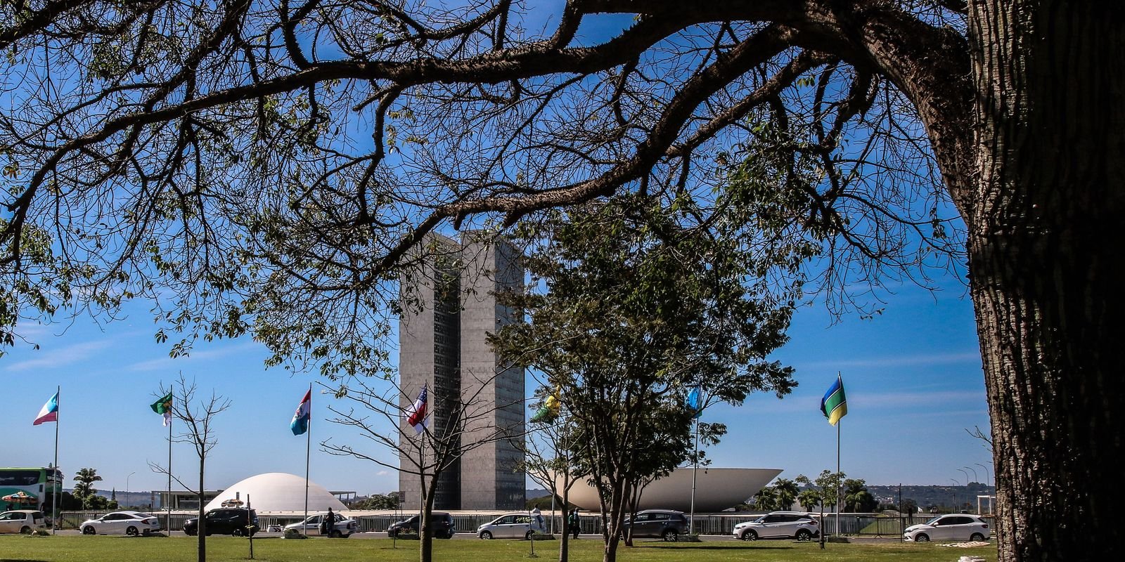 Congresso aumenta punição a crimes sexuais online contra crianças 5 pzzb0185