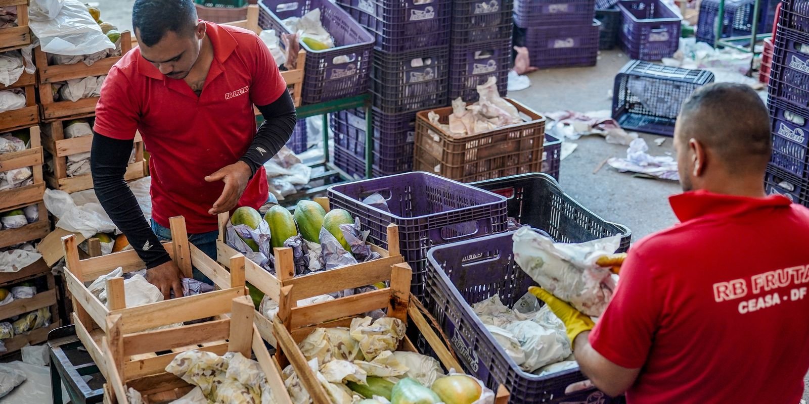 Governo anuncia crédito de R$ 97,3 bi para agricultores familiares 5 raf07126
