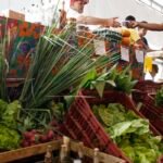 Decreto adia exigência de CNPJ para autônomos e produtores rurais 11 tnrgo 120420176069