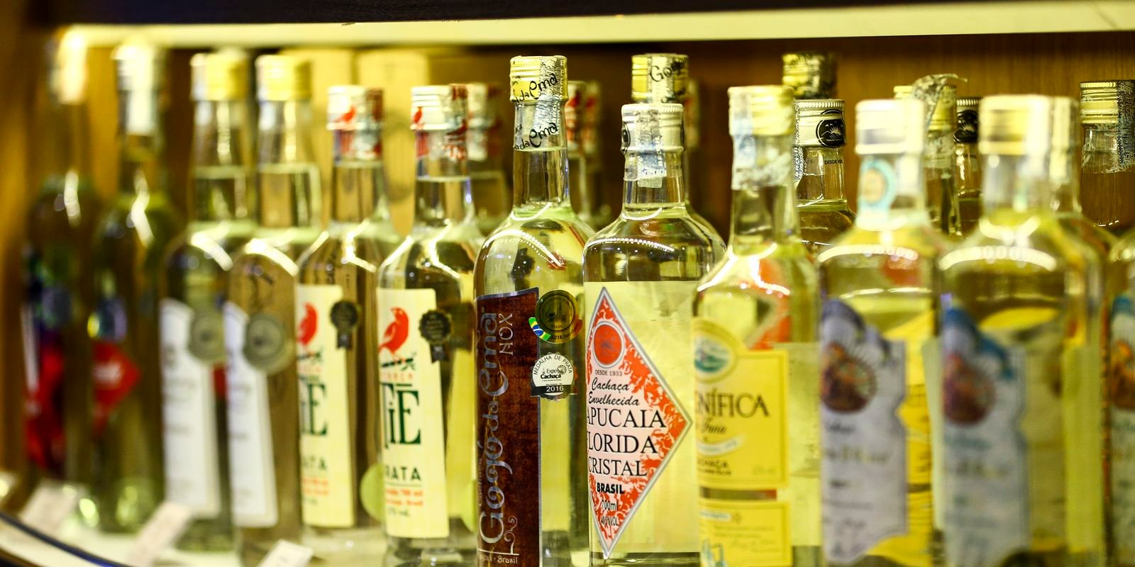 Cresce o número de estabelecimentos na cadeia produtiva da cachaça 5 11 09 2020 cachaca 2