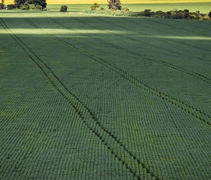 Senado aprova plano para fabricação de fertilizantes no Brasil 12 1786531193 50927545386 dc142e1f64 k