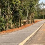 Prefeitura conclui primeira etapa da requalificação ambiental do Bosque dos Ipês 10 Bosque dos Ipes 2