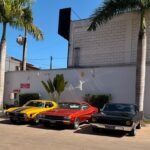 Encontro de Carros Antigos reúne relíquias no Parque Ecológico neste sábado 11 Encontro de Carros 1