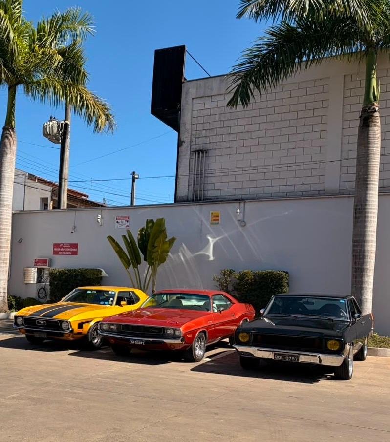 Encontro de Carros Antigos reúne relíquias no Parque Ecológico neste sábado 5 Encontro de Carros 1