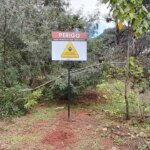 Americana registra segunda morte por febre maculosa em 2026; local da infecção será investigado 10 MACULOSA 1