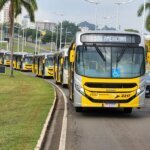 Americana terá ônibus gratuito nas eleições 2026 11 Onibus 2 1024x768