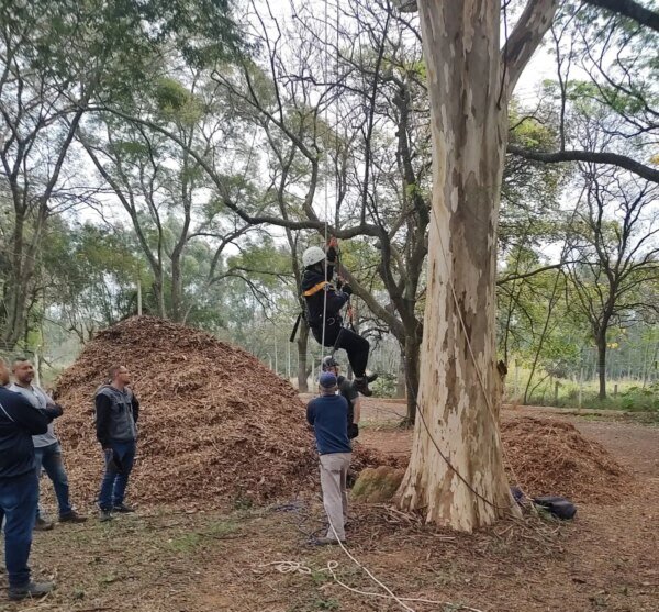 Treinamento NR35