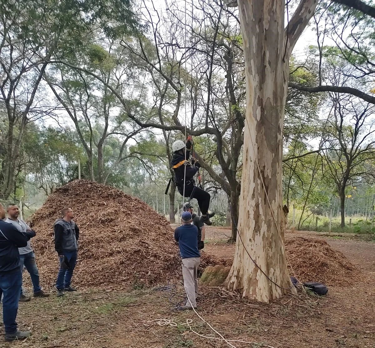 Treinamento NR35