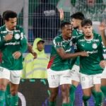 palmeiras libertadores