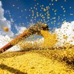Produção agrícola brasileira superou R$ 927 bilhões em 2025 11 50926862498 639e8931b8 o