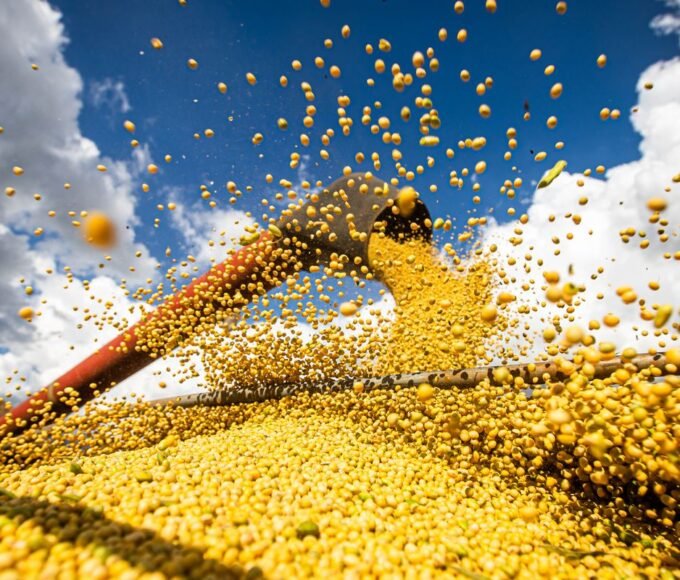 Produção agrícola brasileira superou R$ 927 bilhões em 2025 14 50926862498 639e8931b8 o