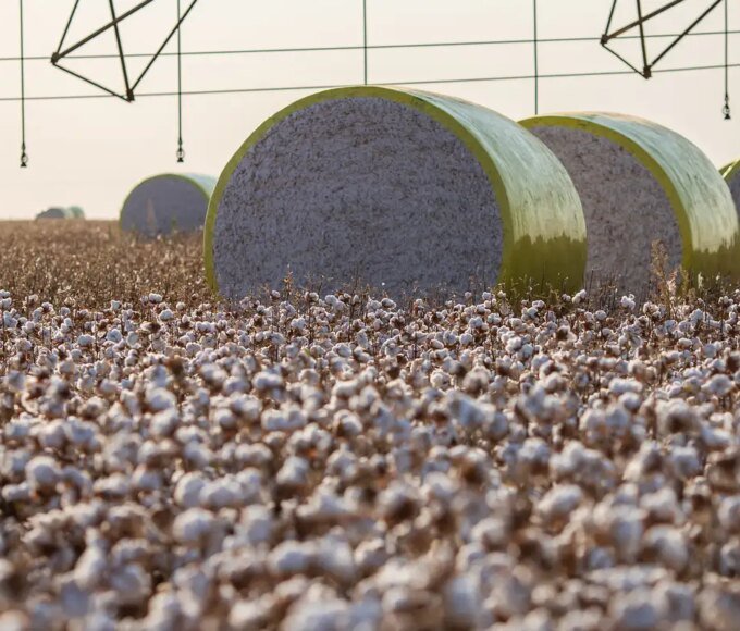 Entenda mudança no mapa que tirou Sorriso do topo da produção agrícola 14 51420345253 8d37c3071b k