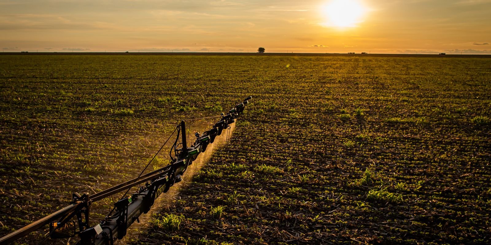 Seguro rural: novas regras ampliam cobertura e proteção ao produtor 5 51667339206 bdebf4a185 o