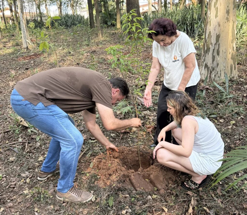 Plantio encerra Semana da Arvore 1