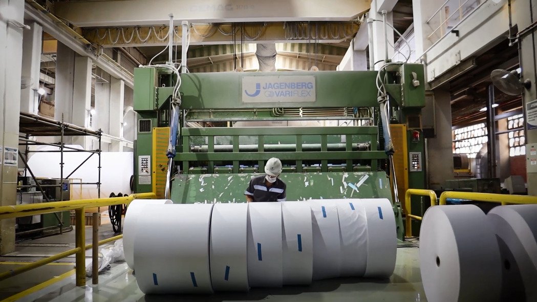 Do eucalipto ao papel, a tecnologia por trás de produtos do dia a dia 5 Suzano Limeira