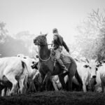 Fotógrafo Beto Farias conquista Medalha em Festival Internacional de Fotografia 10 lrfarias medalha bronze agronegocio.jpg