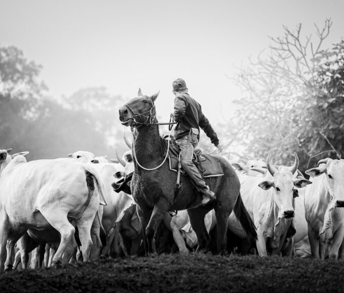 Fotógrafo Beto Farias conquista Medalha em Festival Internacional de Fotografia 12 lrfarias medalha bronze agronegocio.jpg