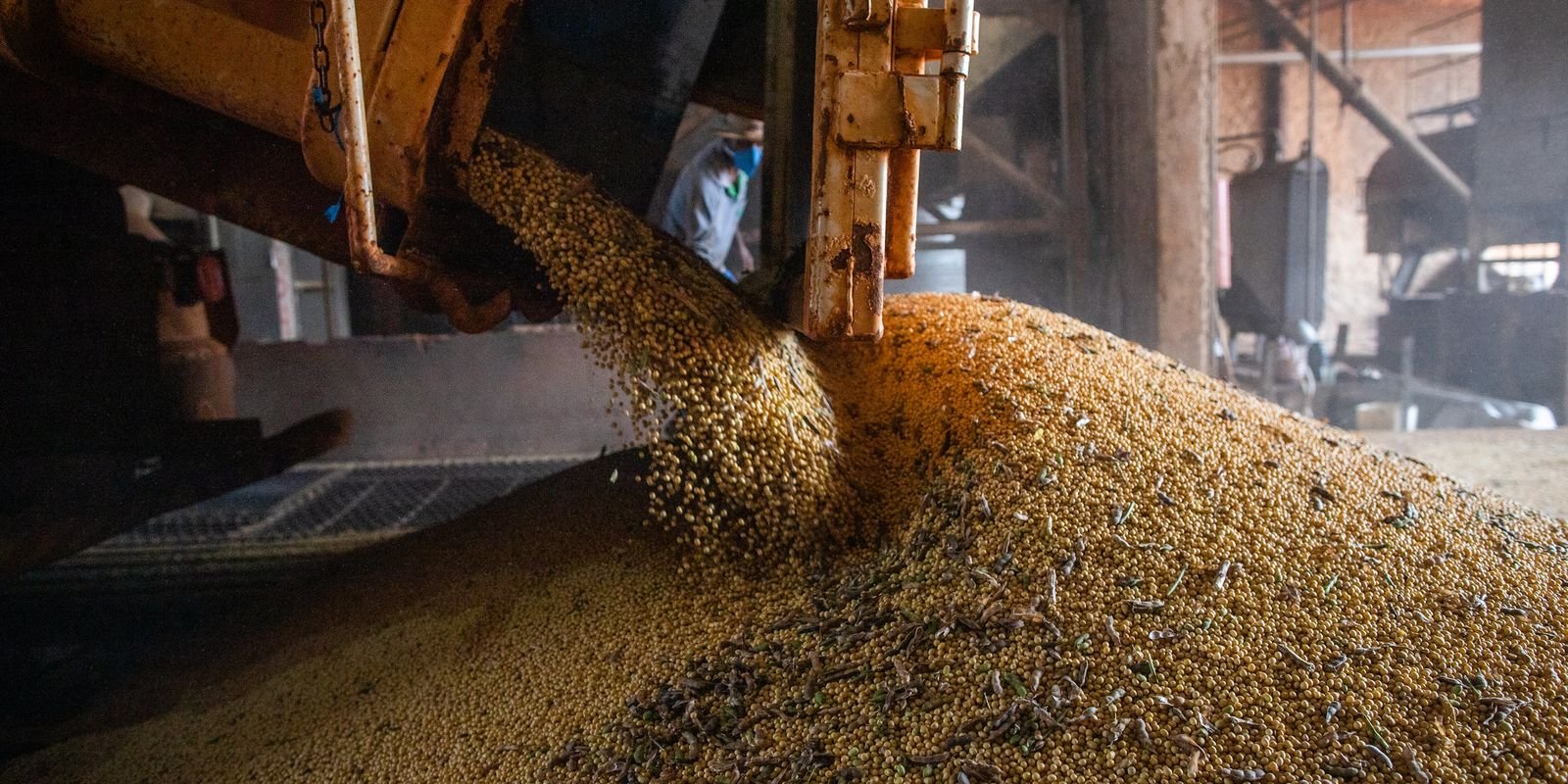 Produção brasileira de grãos deve crescer em 2024 apesar do impacto do El Niño 5 51896376628 f88dba1d29 k