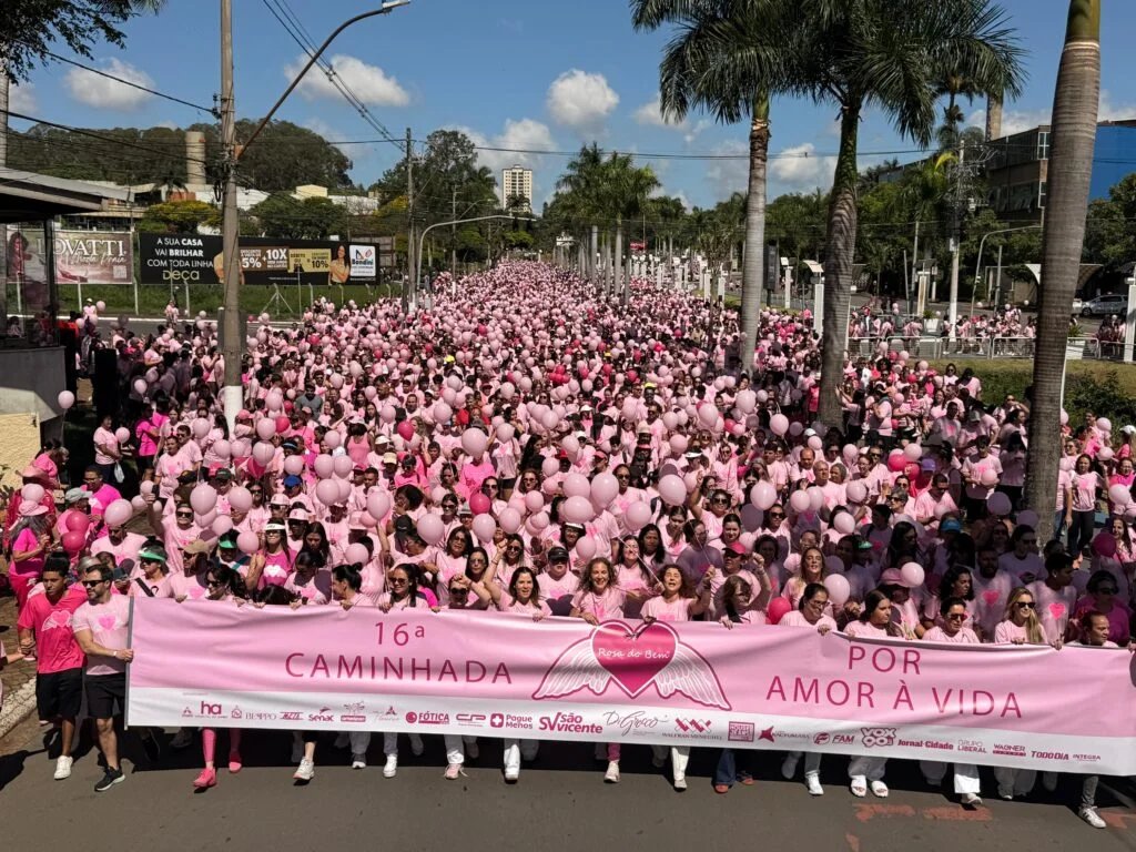 Caminhada 2026 2