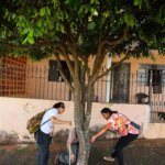 Santa Bárbara recebe palestra sobre diagnóstico da arborização urbana e revisão do plano municipal 11 DIAGNOSTICO ARBORIZACAO 2